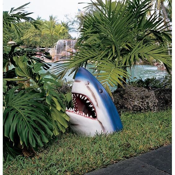 Shark